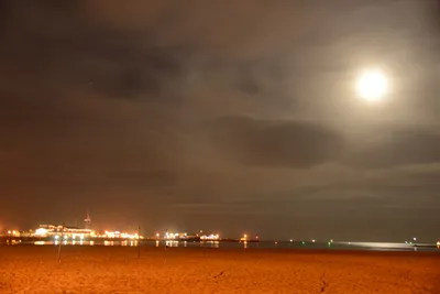 DSC_2457 (Large).JPG